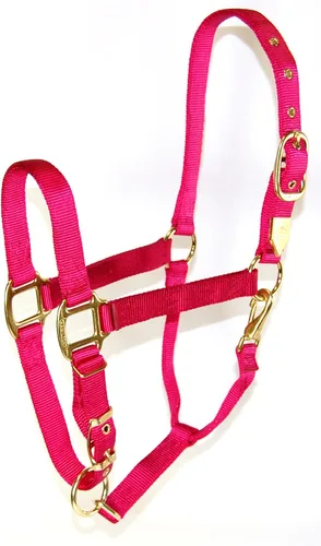 Vista 21 de Hamilton Halter de nailon de 1 pulgada con barbilla ajustable, color negro, tamaño promedio