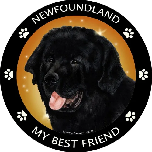 Imán de Newfoundland My Best Friend