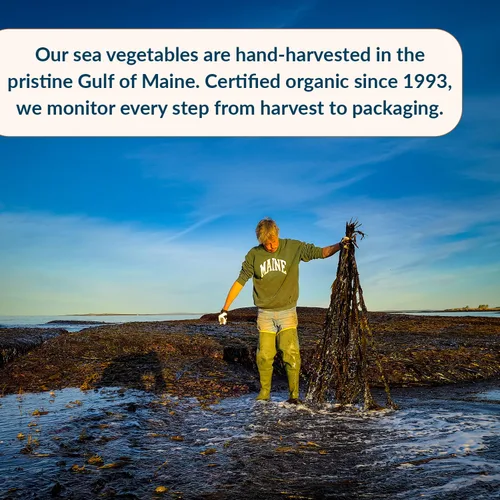 Vista 5 de Condimento marino Maine Coast Triple Blend Flakes, 1 onza