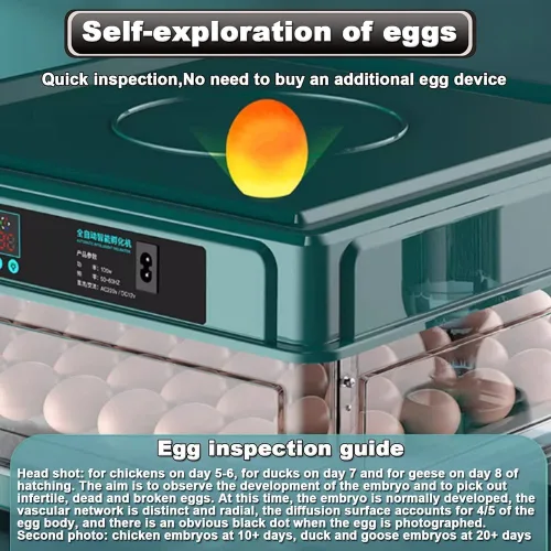 Vista 6 de Incubadora de huevos 48/56/64/98/120/128, incubadora de pollo completamente automática con girador automático de huevos y adición de agua