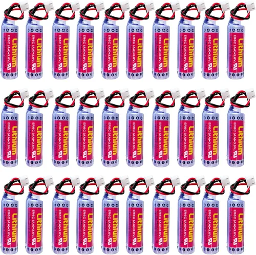 30 baterías de litio de 1800 mAh ER6C AA 3.6 V para MAXELL ER6C FX F2-40BL FX2N/1N PLC batería con enchufe