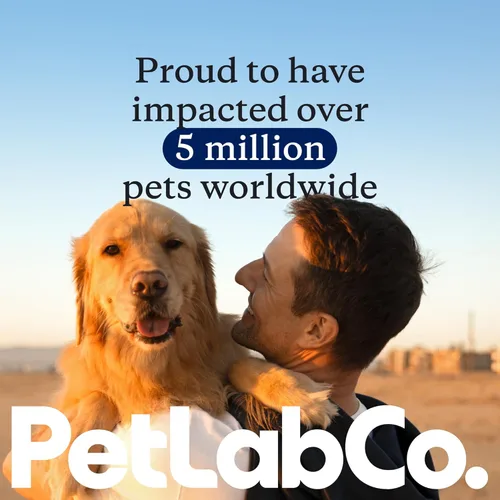 Vista 11 de PetLab Co. ProBright Advanced Dental Powder - Ambientador de aliento para perros - Limpieza de dientes hecha fácil - Combate el sarro y el mal