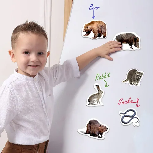 Vista 8 de Forest Photo - Imanes para niños pequeños, 20 animales magnéticos para nevera