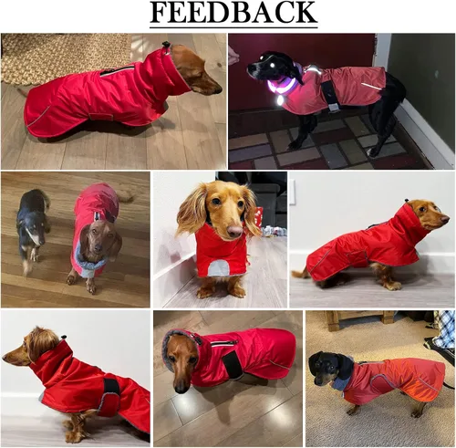 Vista 5 de Abrigos de perro salchicha impermeables, perfectos para perros salchichas, salchichas, abrigo de invierno para perro Weiner con forro polar