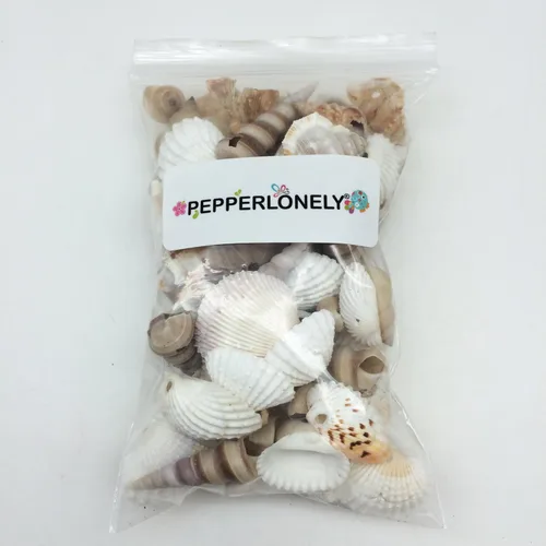 Vista 7 de PEPPERLONELY Pequeñas conchas marinas perforadas con mezcla de conchas, 6 oz aprox. 60+ carcasas de PC, 1-1/2 pulgadas